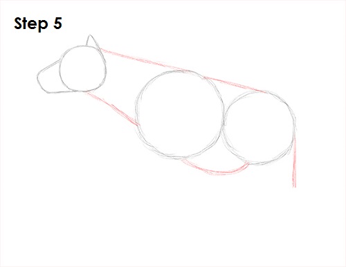 Hyena Drawing 5 Draw Hyena 5