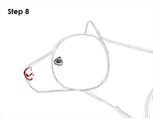 Hyena Drawing 8 Draw Hyena 8