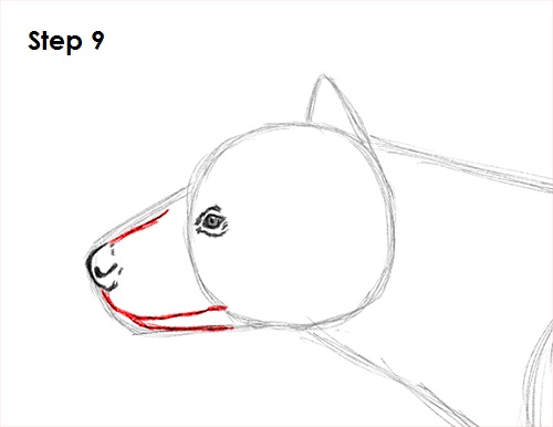 Hyena Drawing 9 Draw Hyena 9