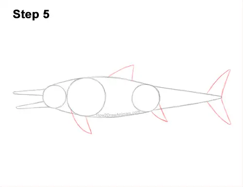 How to Draw an Ichthyosaurus Dinosaur Side View 5