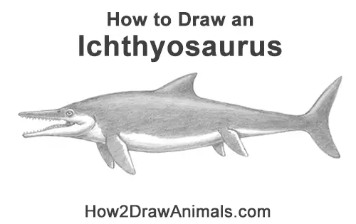 How to Draw an Ichthyosaurus Dinosaur Side View