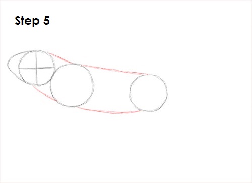 Iguana Drawing 5 Draw Iguana 5