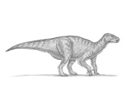 How to Draw an Iguanodon Dinosaur Side