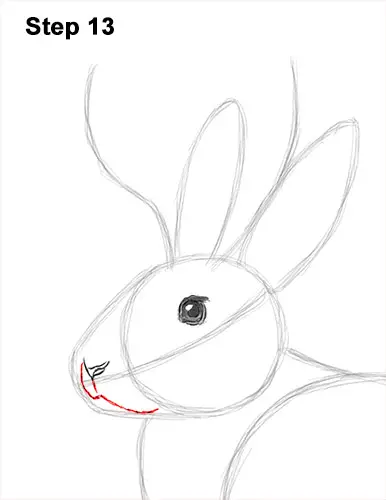 How to Draw a Jackalope Rabbit Antlers 13