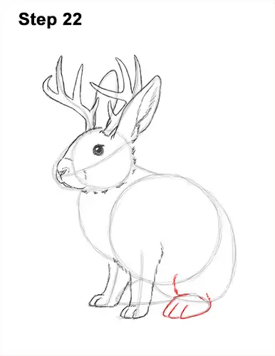 How to Draw a Jackalope Rabbit Antlers 22