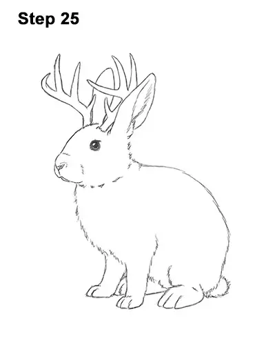 How to Draw a Jackalope Rabbit Antlers 25