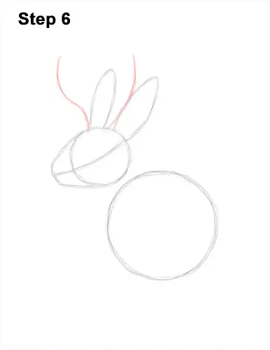 How to Draw a Jackalope Rabbit Antlers 6