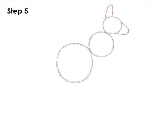 Kangaroo Drawing 5 Draw Kangaroo 5