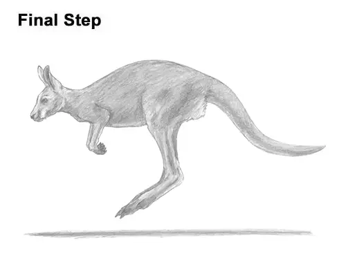How to Draw a Kangaroo (Jumping) VIDEO & Step-by-Step Pictures How to Draw a Kangaroo (Jumping) VIDEO & Step-by-Step Pictures