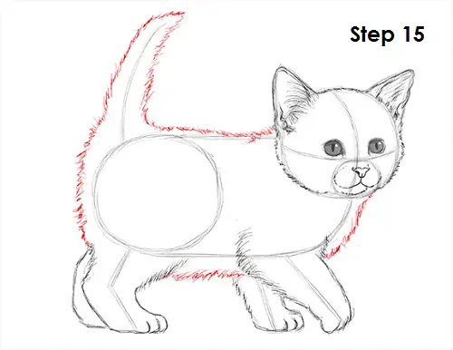 How to Draw a Kitten