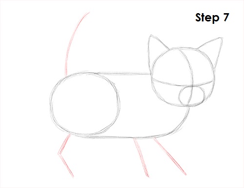 Kitten Drawing 7 Draw Kitten 7