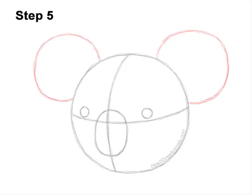 How to Draw a Koala Head Face Portrait 5