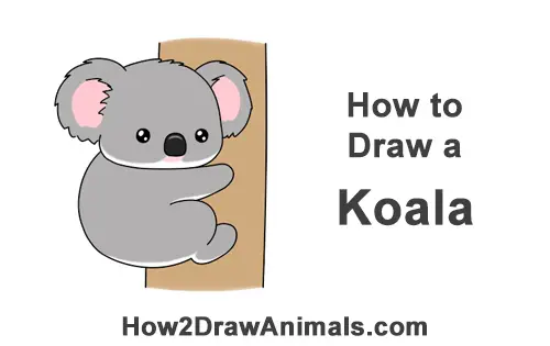 How to Draw Little Baby Small Cute Cartoon Koala Bear Chibi Manga