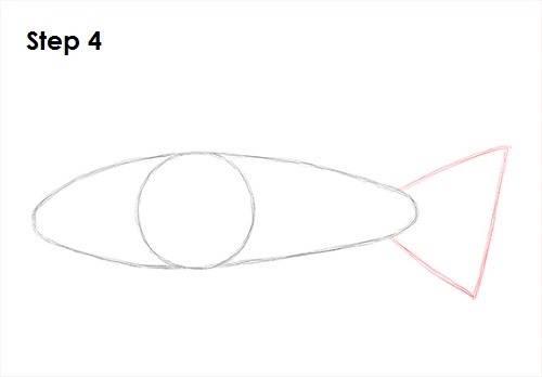 Draw Koi Fish 4
