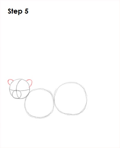 Draw Lemur 5
