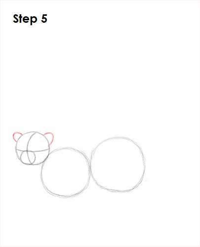 Ring-Tailed Lemur Drawing 5 Draw Lemur 5