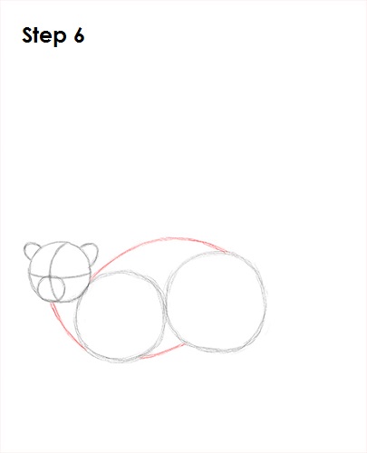 Ring-Tailed Lemur Drawing 6 Draw Lemur 6