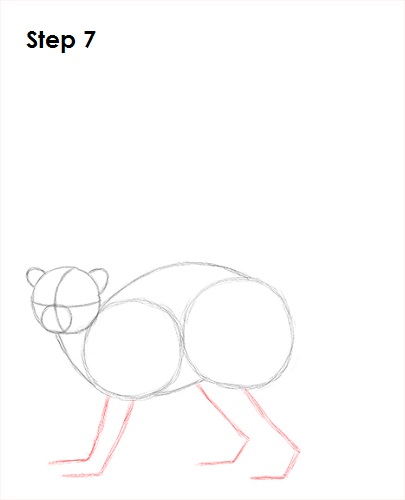 Draw Lemur 7
