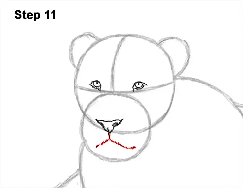 How to Draw a Lion Color Side Laying Lying Down 11