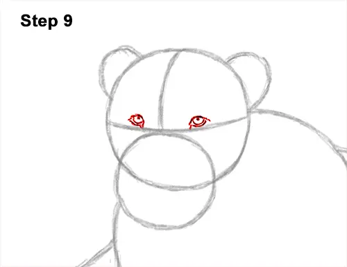 How to Draw a Lion Color Side Laying Lying Down 9