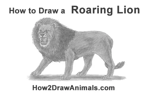 How to Draw a Roaring Lion