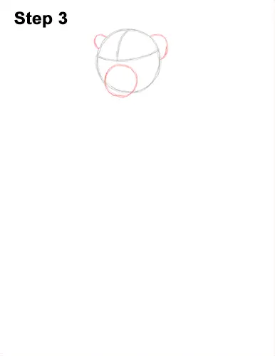 How to Draw a Rhesus Macaque Monkey Sitting 3