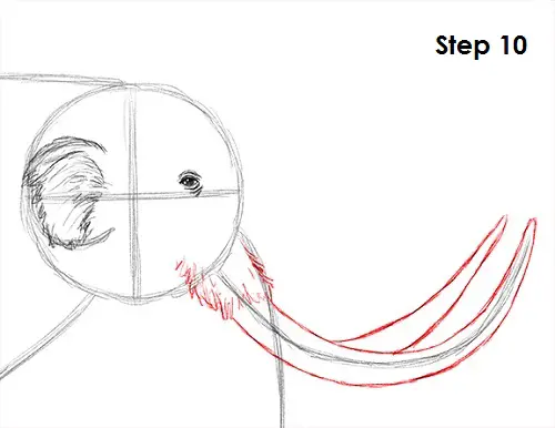 Mammoth Drawing 10 Draw a Mammoth 10