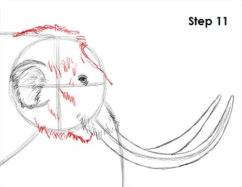 Mammoth Drawing 11 Draw a Mammoth 11