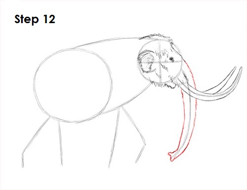 Mammoth Drawing 12 Draw a Mammoth 12
