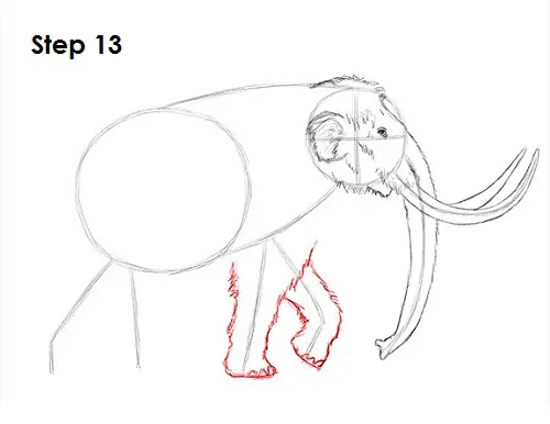 Mammoth Drawing 13 Draw a Mammoth 13