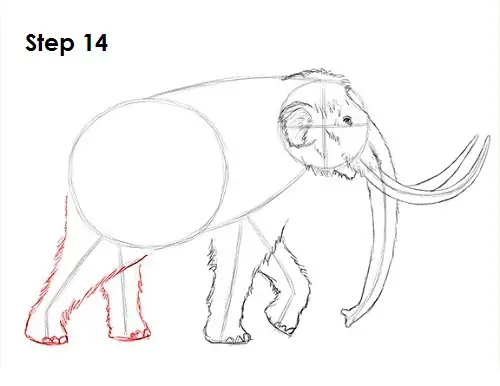 Mammoth Drawing 14 Draw a Mammoth 14