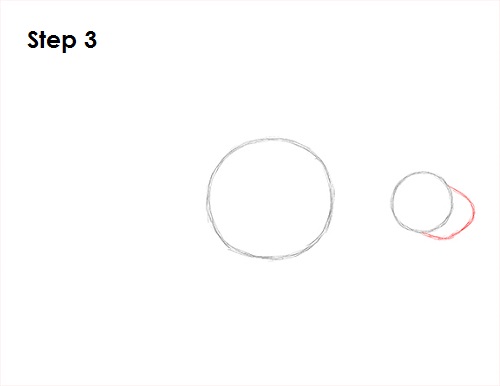 Manatee Drawing 3 Draw Manatee 3