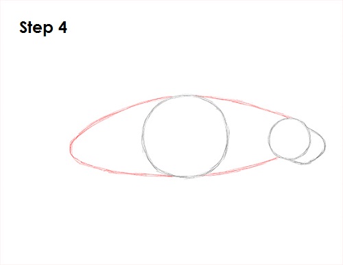 Manatee Drawing 4 Draw Manatee 4