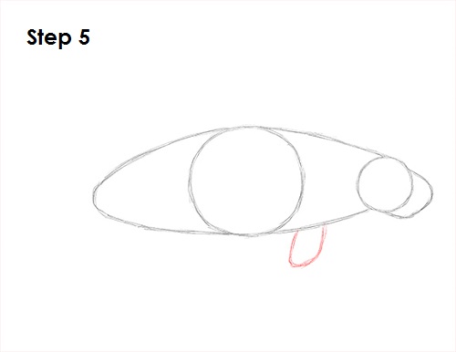Manatee Drawing 5 Draw Manatee 5