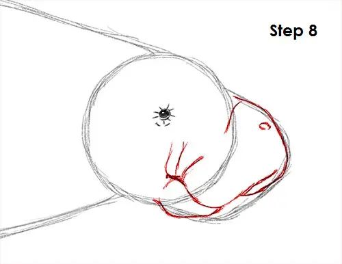 Manatee Drawing 8 Draw Manatee 8