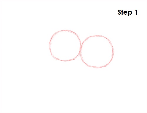 Capuchin Monkey Drawing 1 Draw Capuchin Monkey 1