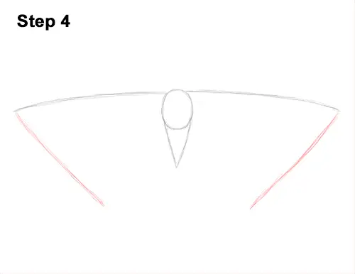 How to Draw an Emperor Moth Wings Insect 4