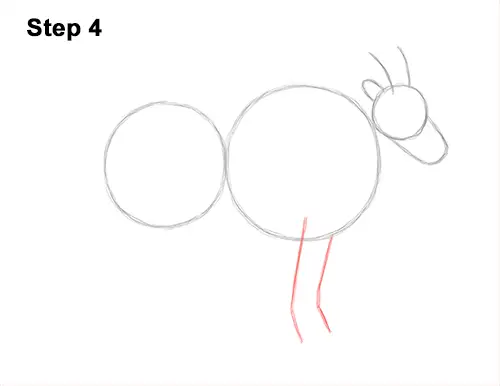 How to Draw a White Rocky Moutain Goat 4