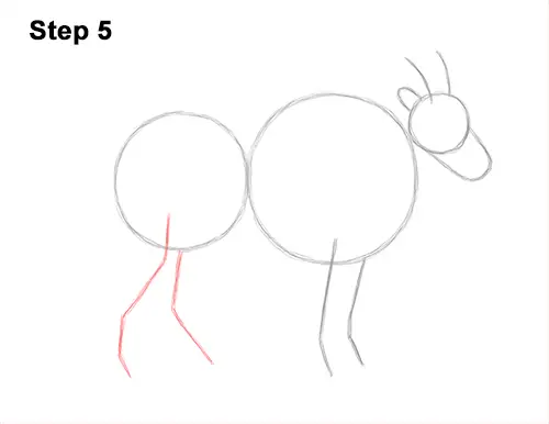 How to Draw a White Rocky Moutain Goat 5