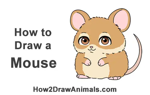 How to Draw a Cute Chibi Little Mini Cartoon Mouse
