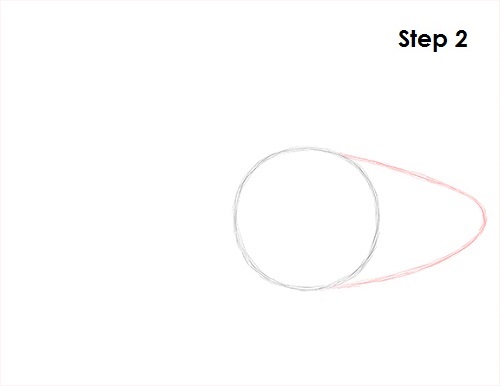 Neon Tetra Drawing 2 Draw Neon Tetra Fish 2