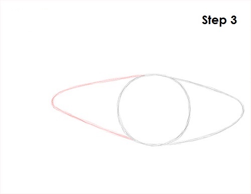 Neon Tetra Drawing 3 Draw Neon Tetra Fish 3