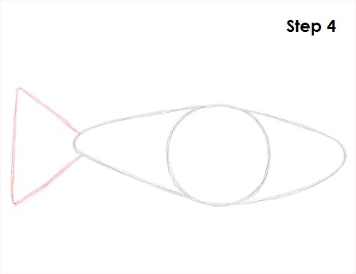 Neon Tetra Drawing 4 Draw Neon Tetra Fish 4