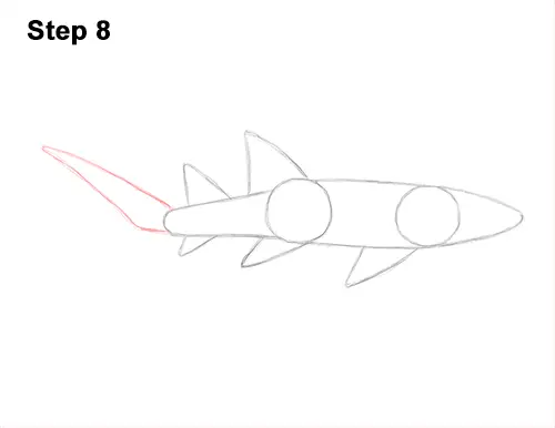 How to Draw a Nurse Shark 8