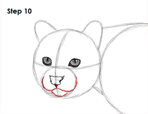 Ocelot Cat 10 Draw Ocelot 10