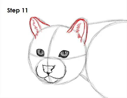 Ocelot Cat 11 Draw Ocelot 11