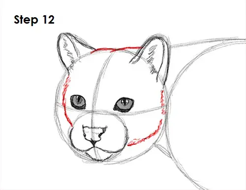 Ocelot Cat 12 Draw Ocelot 12