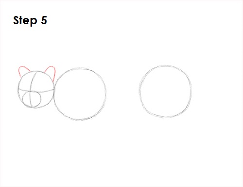 Ocelot Cat 5 Draw Ocelot 5
