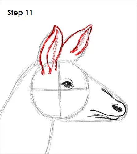 Draw Okapi 11