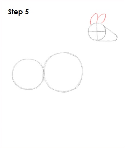 Okapi 5 Draw Okapi 5